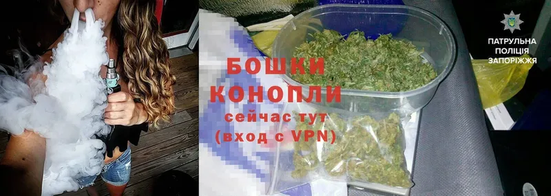 Канабис план  МЕГА ССЫЛКА  Котлас 